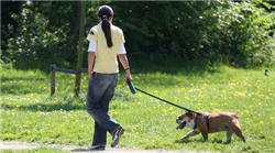 foto nevelhorst met hond